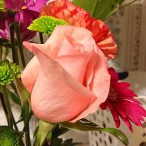 Meet your Posher, Cheryl